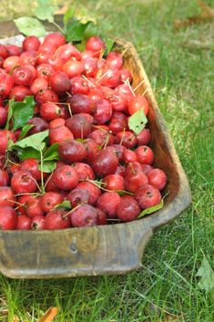 a wooden bowl filled with lots of red apples on top of green leaves and grass