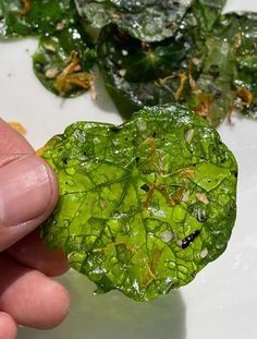 a hand holding a piece of green leaf next to some leaves on a white plate