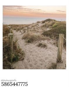 an image of a beach scene with the ocean in the background and sand dunes to the side