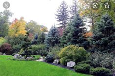 a lush green lawn surrounded by trees and rocks