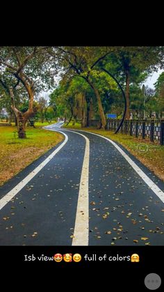 an empty road surrounded by trees in the middle of fall with text that reads, is this view full of colors?