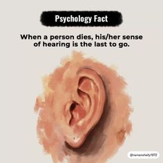 Physiology Fact, Human Psychology Facts, Sense Of Hearing, Wisdom Words, Human Psychology, Effective Presentation, Natural Face Cleanser, Fun Fact Friday