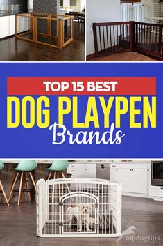 the top 15 best dog playpen brands for dogs with their caged in area