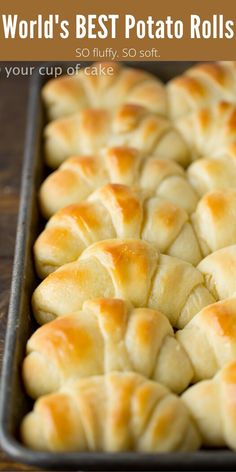 the world's best potato rolls so fluffy so soft