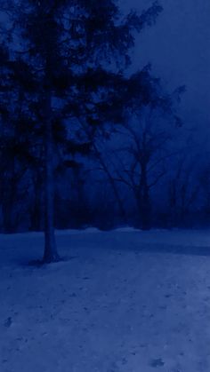 a snow covered field with trees in the background