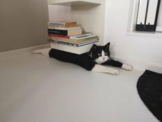 a black and white cat laying on the floor next to some books in a room