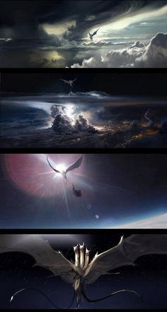 four different images of birds flying in the sky with clouds and sun shining through them