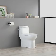 a white toilet sitting in a bathroom next to a shelf with pictures on the wall