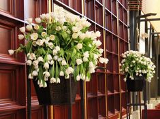 two vases filled with white flowers next to a red wooden paneled wall on the side of a building