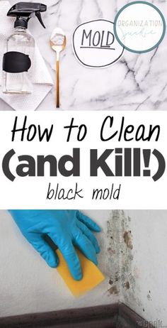 the words how to clean and kill black mold on a white wall with blue gloves