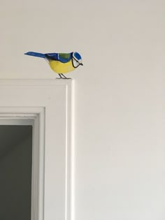 a blue and yellow bird sitting on top of a white door