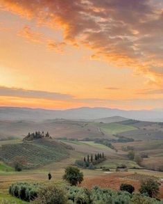 the sun is setting over rolling hills and valleys in the distance, with trees on either side