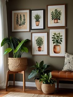 #UrbanHomeDecor #IndoorPlants #NYCLiving #GreenOasis #PlantDecor #HomeStyling #InteriorDesign #NatureInspired #SmallSpaceLiving #HomeInspiration Cozy Plant Living Room, Indoor Plant Display Ideas, Zen Balcony, Living Room Plants Decor, Indoor Plant Display, Urban Home Decor, Plant Display Ideas, Urban Homes, Nyc Living