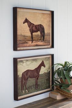 two framed horses on a wall next to a potted plant