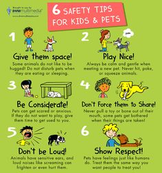 a poster with instructions on how to use pets