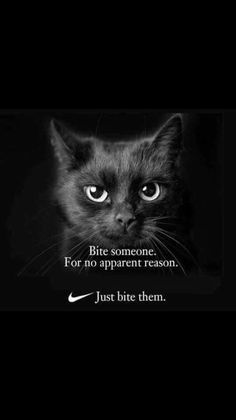 a black and white photo with a caption that says bite someone for no apparent reason just bite them