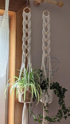 three macrame plant hangers with plants in them hanging from hooks on the wall