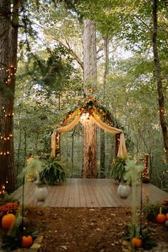 an outdoor wedding set up in the woods with string lights and pumpkins on the ground