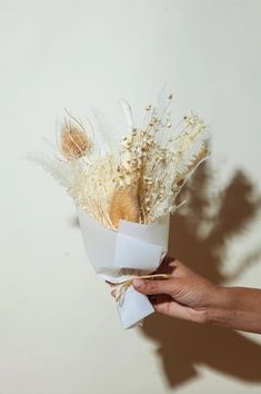 a hand holding a bouquet of dried flowers