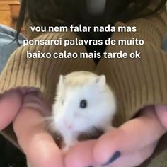 a person holding a small hamster in their hands with the caption, you ner fal nada mas pensarei pallavas de muito baxo