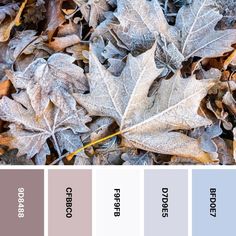 the color palette is blue, grey, and white with some brown leaves on it