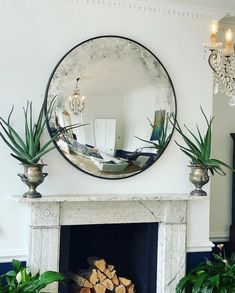 there is a mirror above the fireplace with plants on it