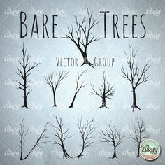 bare trees are shown in black and white on a gray background with the words,