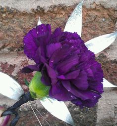 a purple flower is being held up by scissors