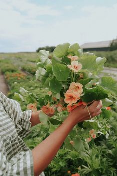 a person holding flowers in their hands on the side of a dirt road and grass field