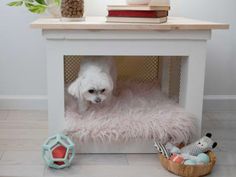 a small white dog is hiding under a table