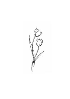 a black and white drawing of three flowers