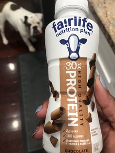 a person holding a bottle of protein drink in front of a dog on the kitchen counter