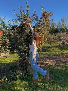 a woman picking apples off the top of an apple tree with one hand and reaching for it