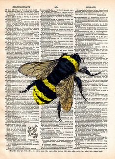 a bee sitting on top of an old book page with words written in english and french