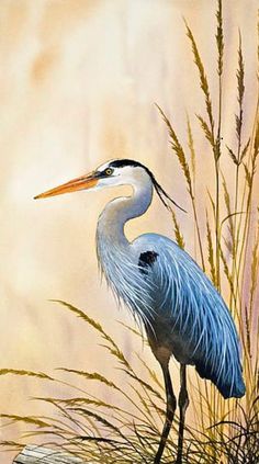 a painting of a blue heron standing in tall grass