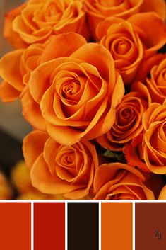 a bunch of orange roses with brown and red colors in the middle, on top of each other