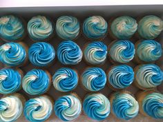 cupcakes with blue and white frosting in a box