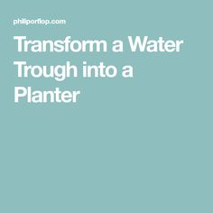 the words transform a water trough into a planter are in white letters on a blue background