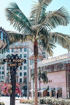 a palm tree in the middle of a city street with buildings and flowers around it