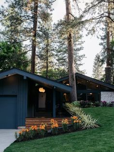 a blue house in the middle of some trees