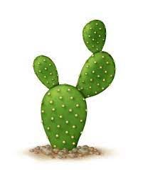 a green cactus with white dots on it