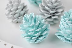 several small pine cones sitting on top of a table