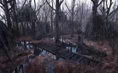 a wooden bridge in the middle of a swampy area surrounded by trees and bushes