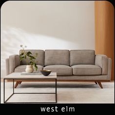 a living room with a couch, coffee table and potted plant