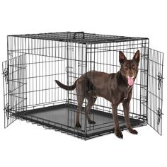 a brown dog standing in front of a black metal cage with its tongue hanging out