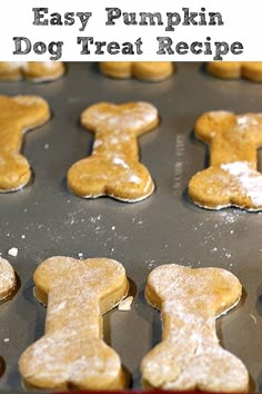 an image of homemade dog treat recipe