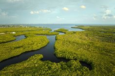 an aerial view of a river surrounded by lush green trees and bushes in the foreground