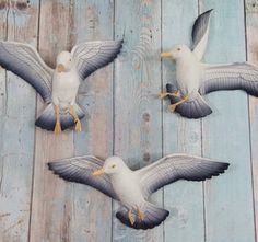 three seagulls are sitting on top of a wooden planked wall with their wings spread out