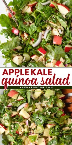 Looking for an easy Thanksgiving side dish? Our Kale Apple Salad with quinoa is a healthy, crunchy addition to your fall food recipes. This easy, best-in-season salad is packed with flavor making it the perfect pair to your holiday feast! Pin this recipe to your collection now! Fall Food Recipes, Kale Apple Salad, Salad With Quinoa, Healthy Greens, Greek Quinoa Salad, Kale Quinoa, Kale Quinoa Salad, Apple Recipes Easy