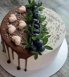 a chocolate cake with blueberries and green leaves on top